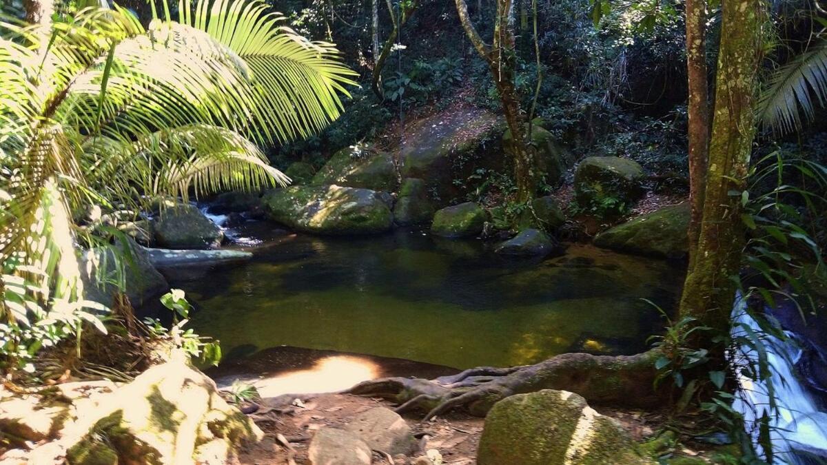 Apartamento Natuart 2 Chale Com Cozinha Da Lagoinha Ubatuba