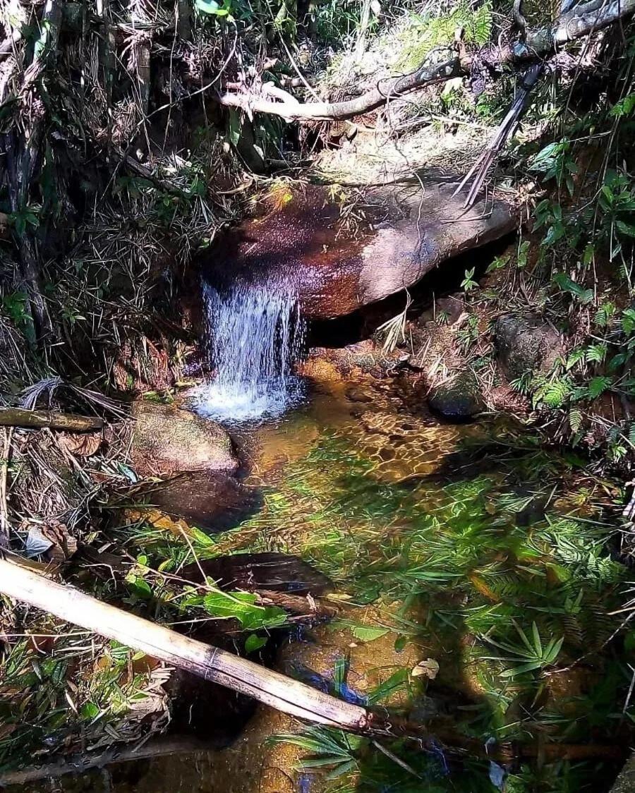Natuart 2 Chale Com Cozinha Da Lagoinha Ubatuba